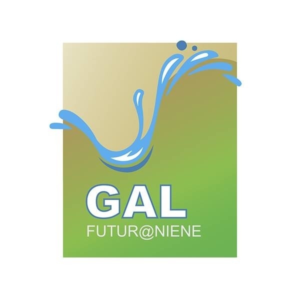 AVVISO PUBBLICO PER LA SELEZIONE DI N. 5 ISTRUTTORI TECNICI ISTRUTTORI DOMANDE DI SOSTEGNO PER L'ATTUAZIONE DELLA STRATEGIA DI SVILUPPO LOCALE FUTUR@NIENE