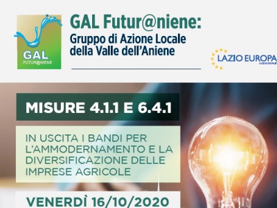 Presentazione su GoToMeeting delle Misure 4.1.1 e 6.4.1 - Bandi per l’Ammodernamento e la Diversificazione delle Imprese Agricole